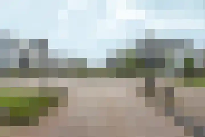 Beneluxlaan 784 Almere thumbnail 6
