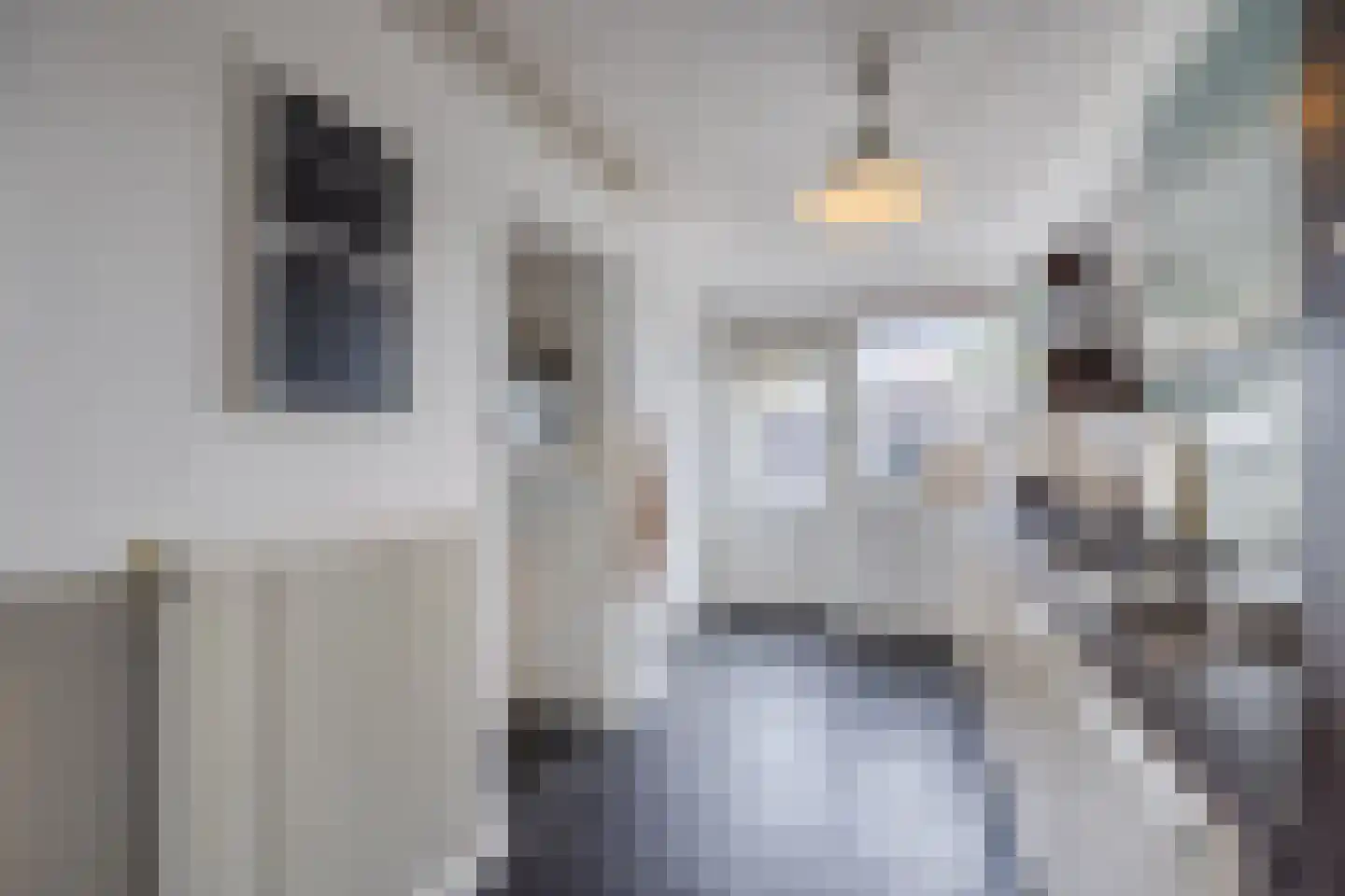 Beneluxlaan 79 Tilburg thumbnail 12