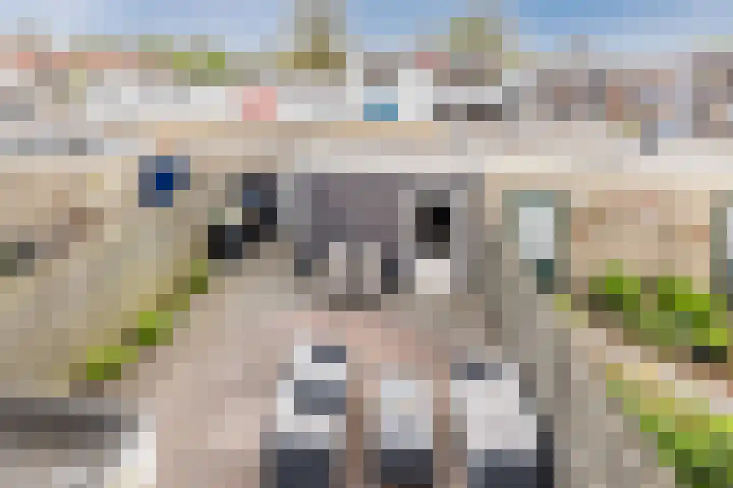 Beneluxlaan 79 Tilburg thumbnail 36