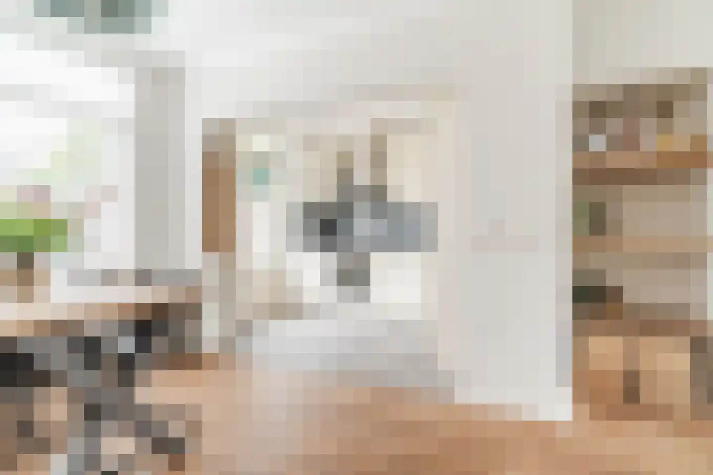 Beneluxlaan 8 Vlijmen thumbnail 14