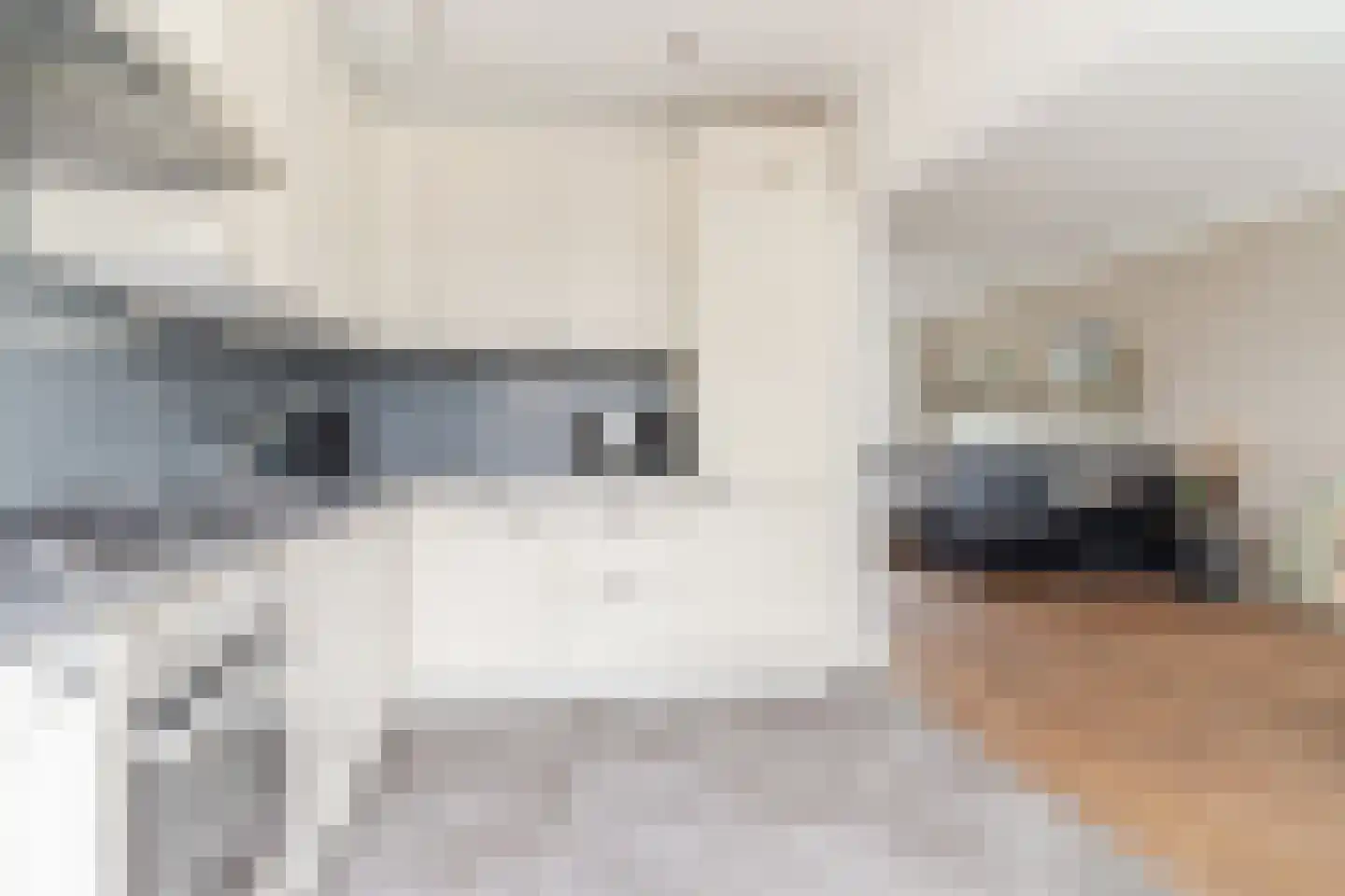 Beneluxlaan 8 Vlijmen thumbnail 16