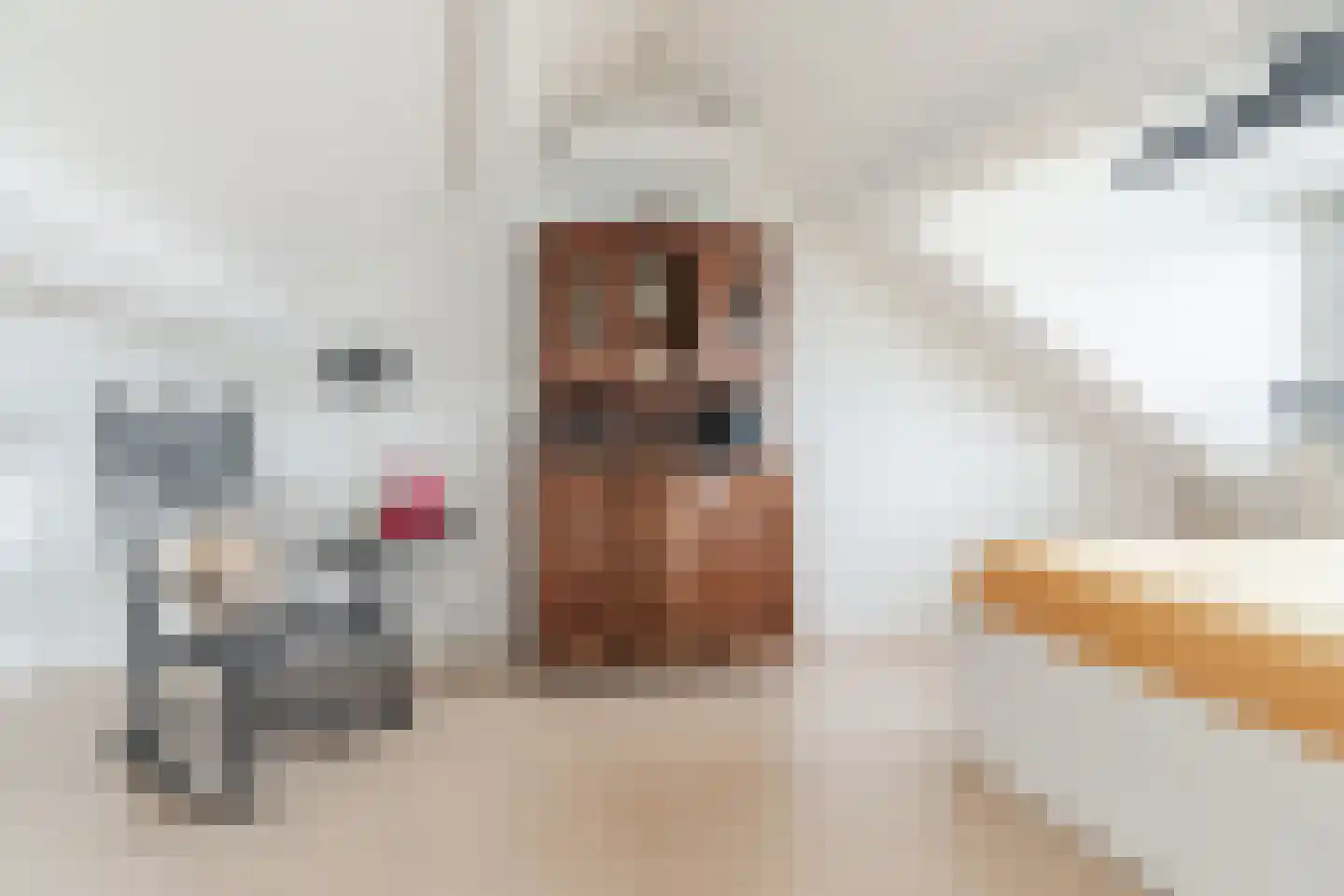 Beneluxlaan 8 Vlijmen thumbnail 39