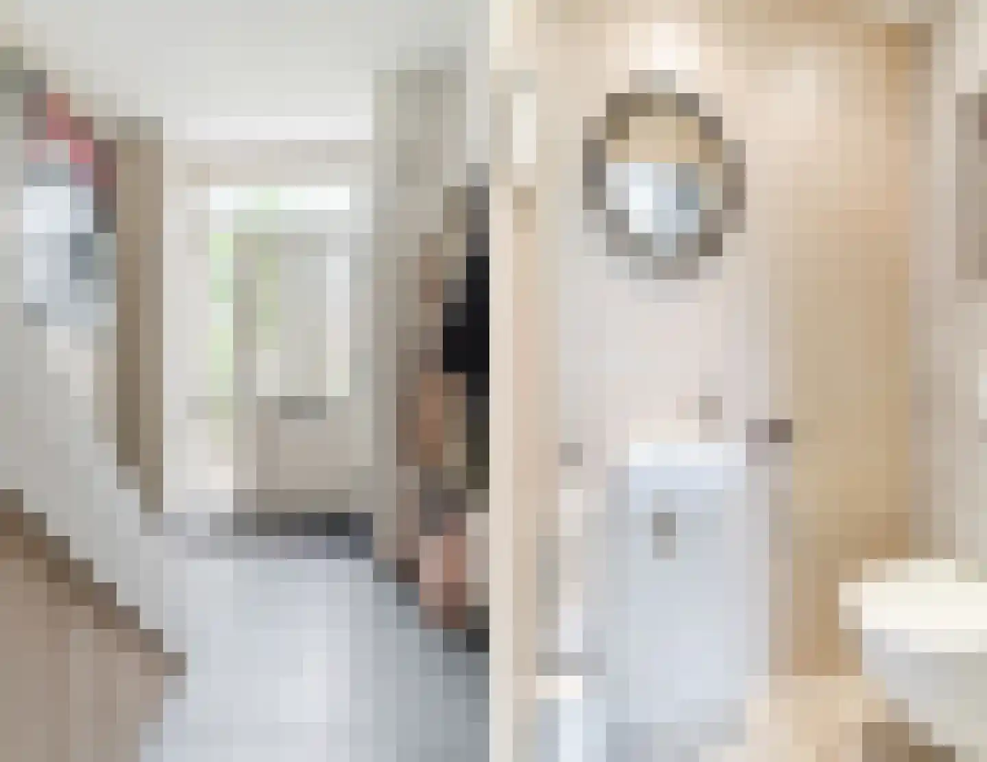 Beneluxlaan 8 Vlijmen thumbnail 7