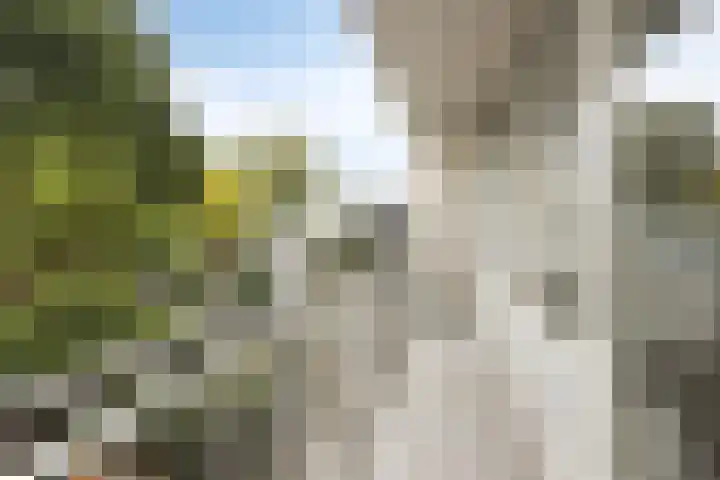 Beneluxlaan 84 Heerlen thumbnail 13