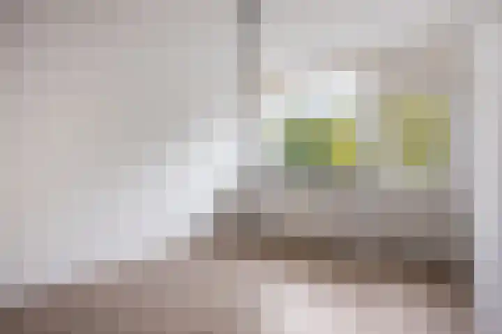 Beneluxlaan 84 Heerlen thumbnail 27