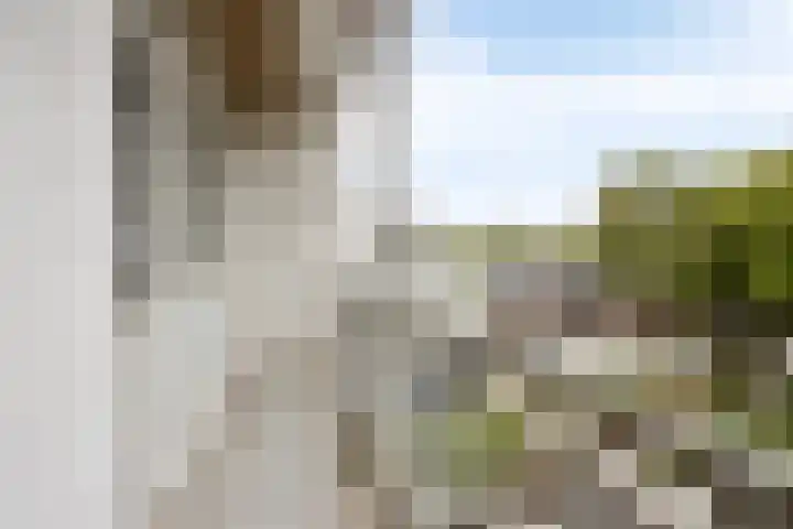 Beneluxlaan 84 Heerlen thumbnail 30