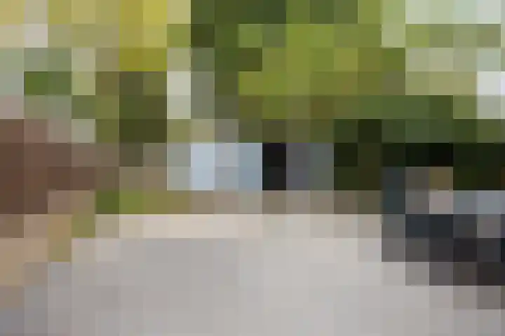 Beneluxlaan 84 Heerlen thumbnail 32