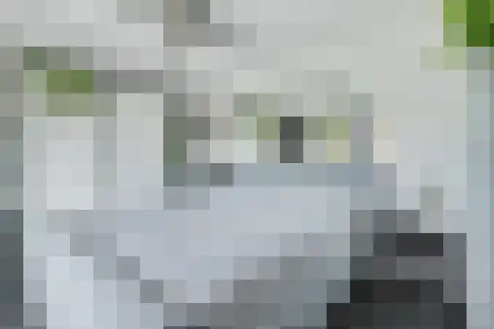 Beneluxlaan 84 Tilburg thumbnail 15