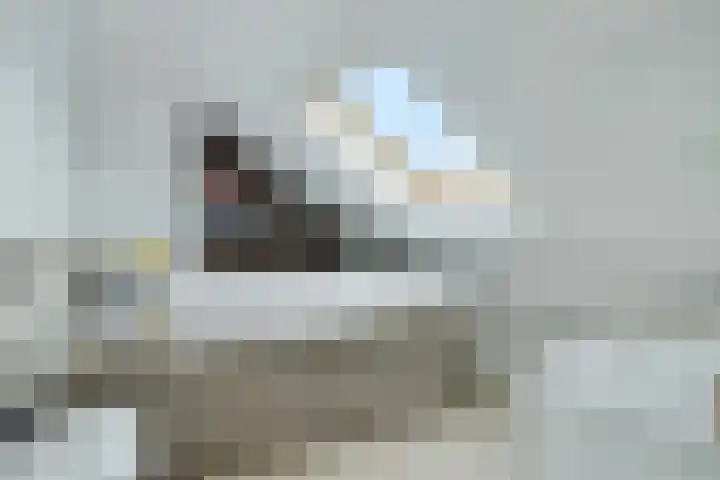 Beneluxlaan 84 Tilburg thumbnail 25
