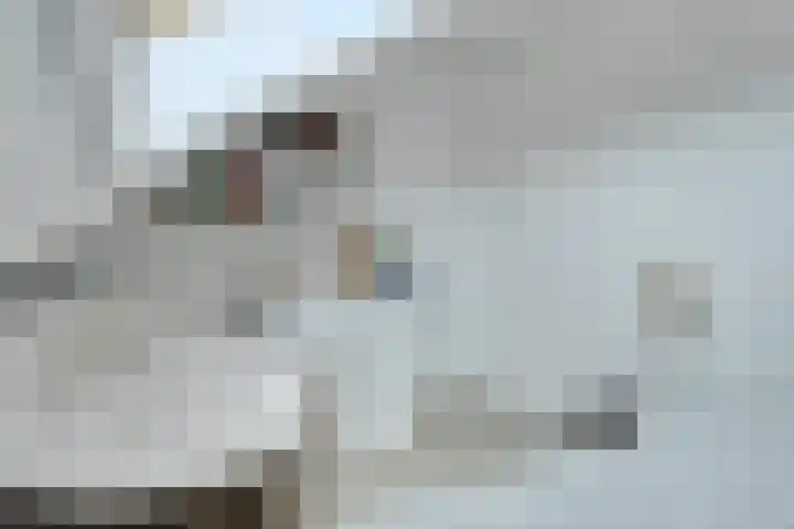 Beneluxlaan 84 Tilburg thumbnail 26