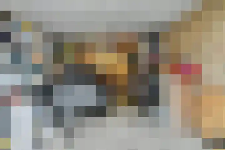 Beneluxlaan 84 Tilburg thumbnail 38