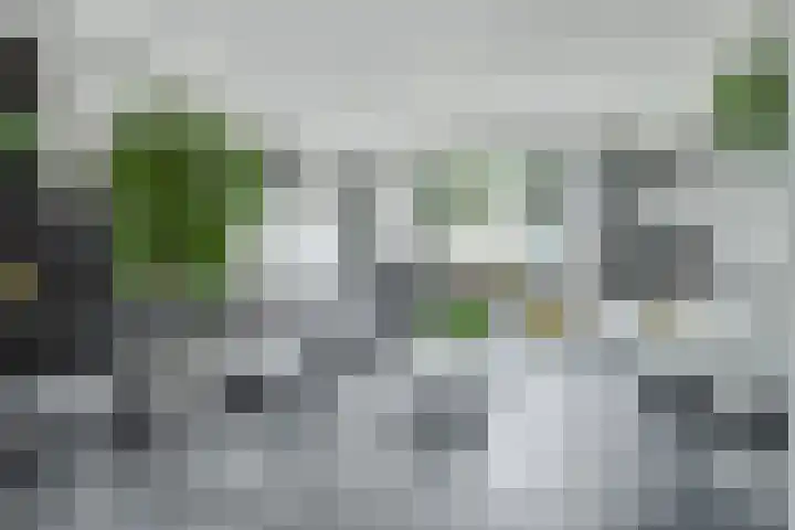 Beneluxlaan 84 Tilburg thumbnail 6