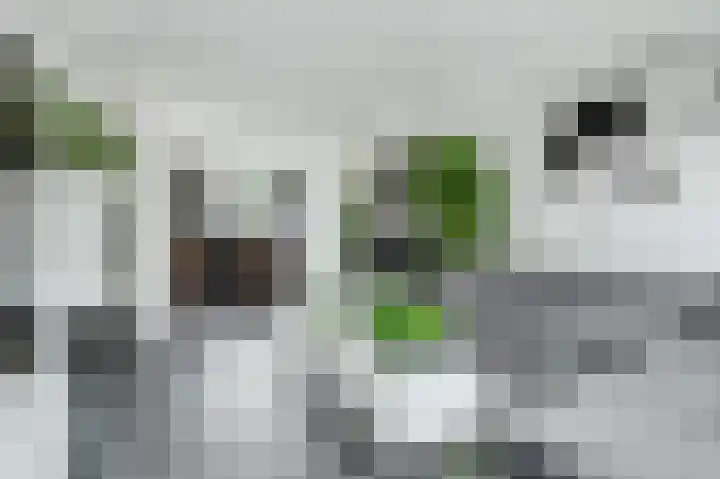 Beneluxlaan 84 Tilburg thumbnail 8
