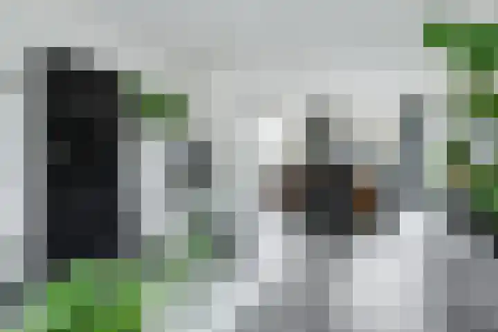 Beneluxlaan 84 Tilburg thumbnail 9