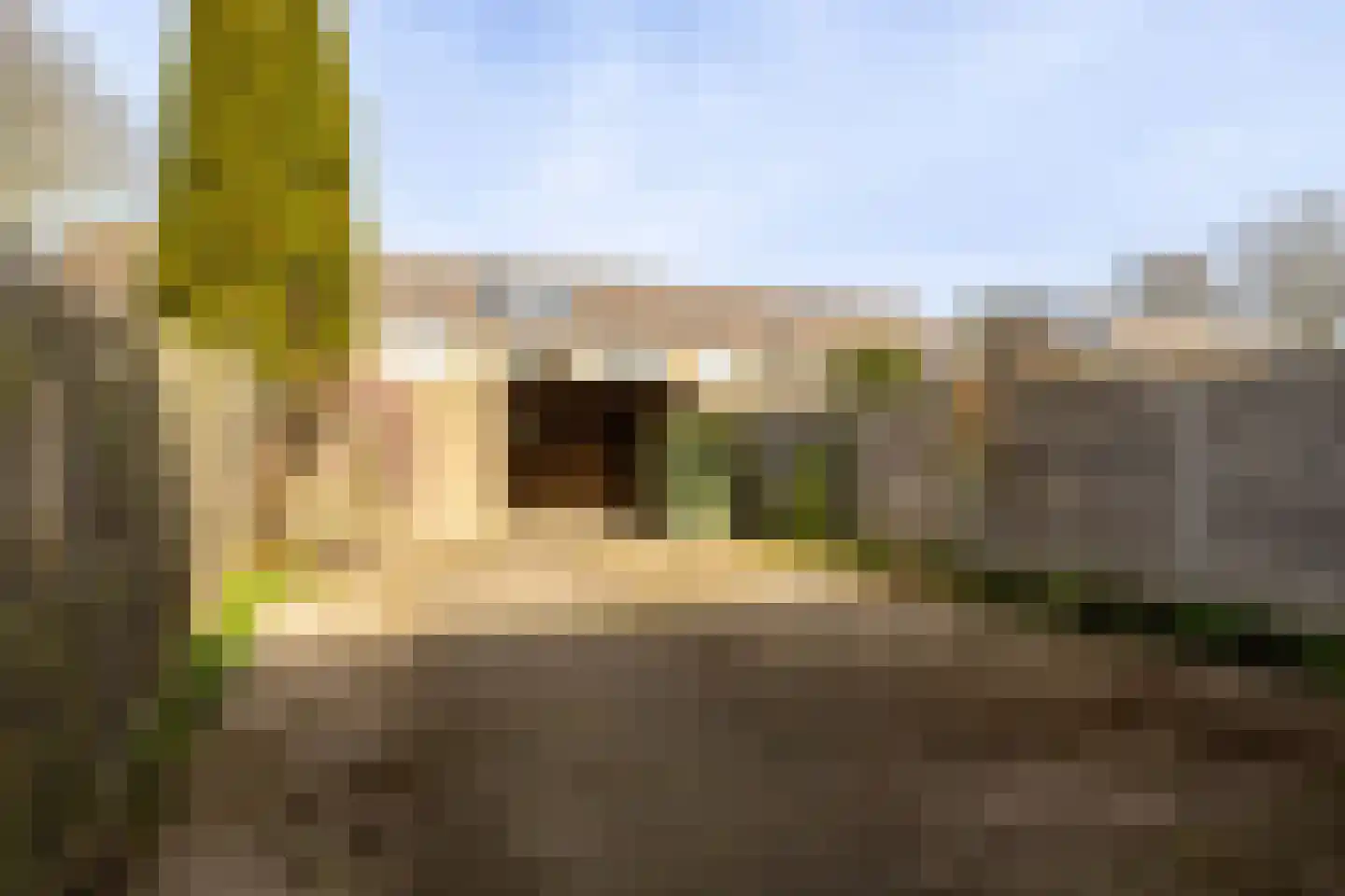 Beneluxlaan 86 Harderwijk thumbnail 15