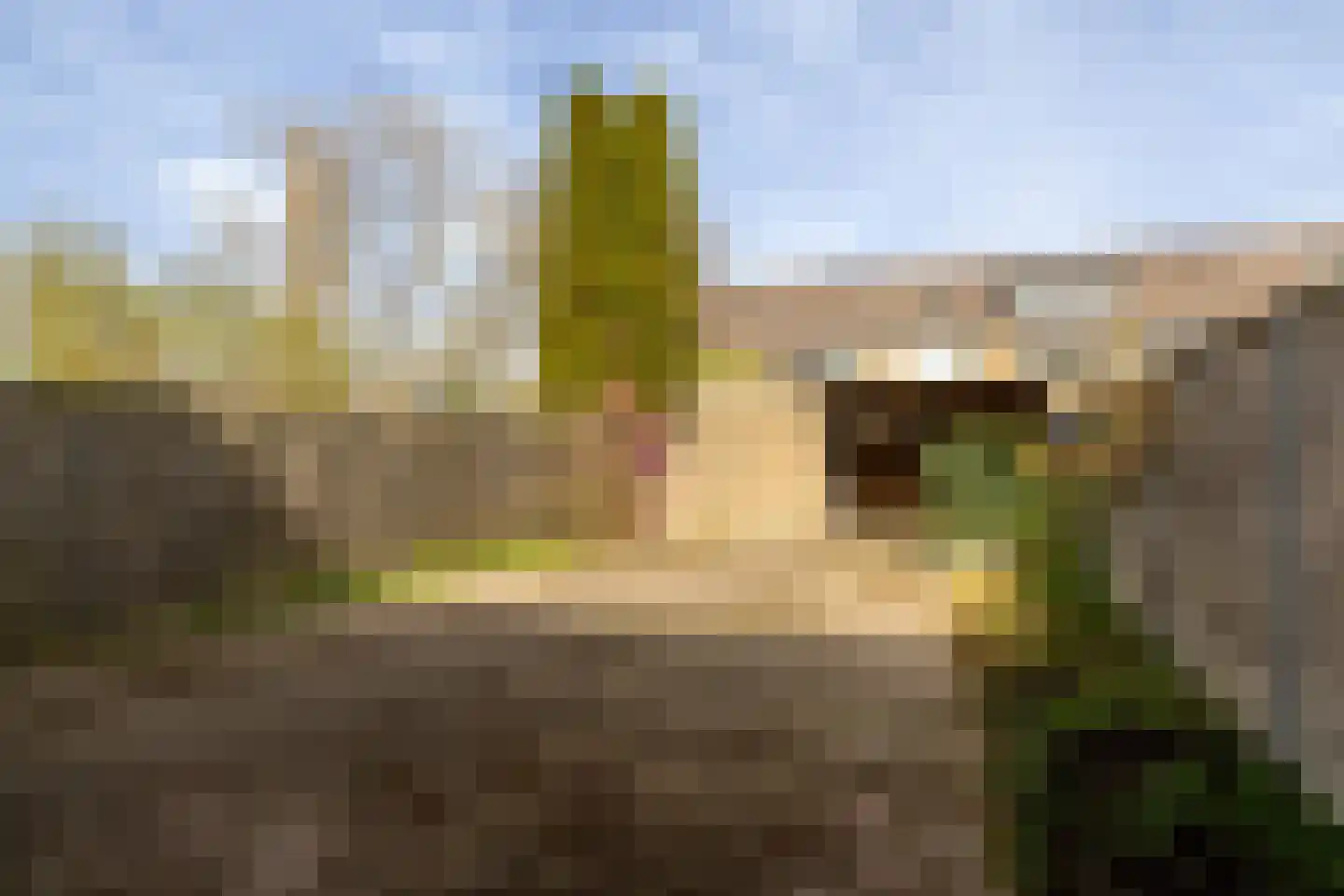 Beneluxlaan 86 Harderwijk thumbnail 16