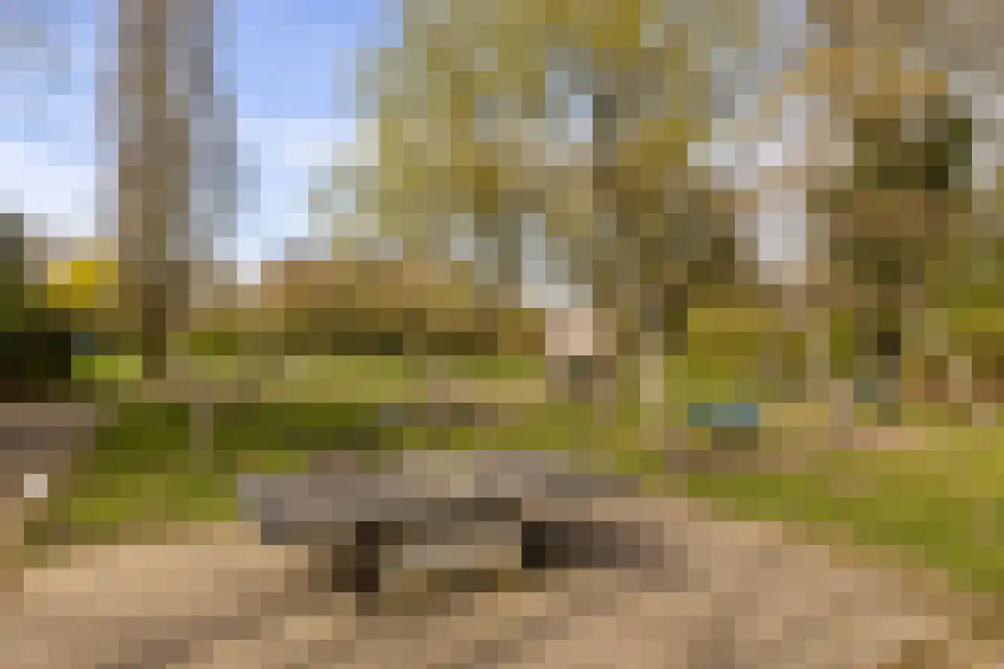 Beneluxlaan 86 Harderwijk thumbnail 34