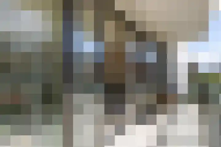 Beneluxlaan 873 Almere thumbnail 5