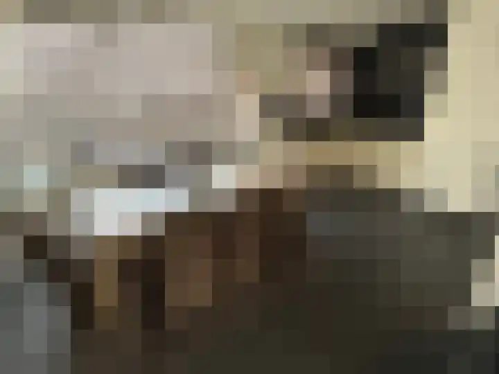 Beneluxlaan 90 Heerlen thumbnail 10