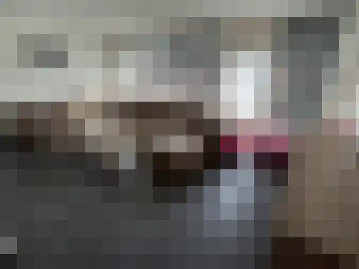 Beneluxlaan 90 Heerlen thumbnail 12