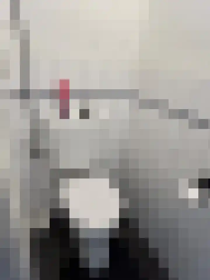 Beneluxlaan 90 Heerlen thumbnail 13