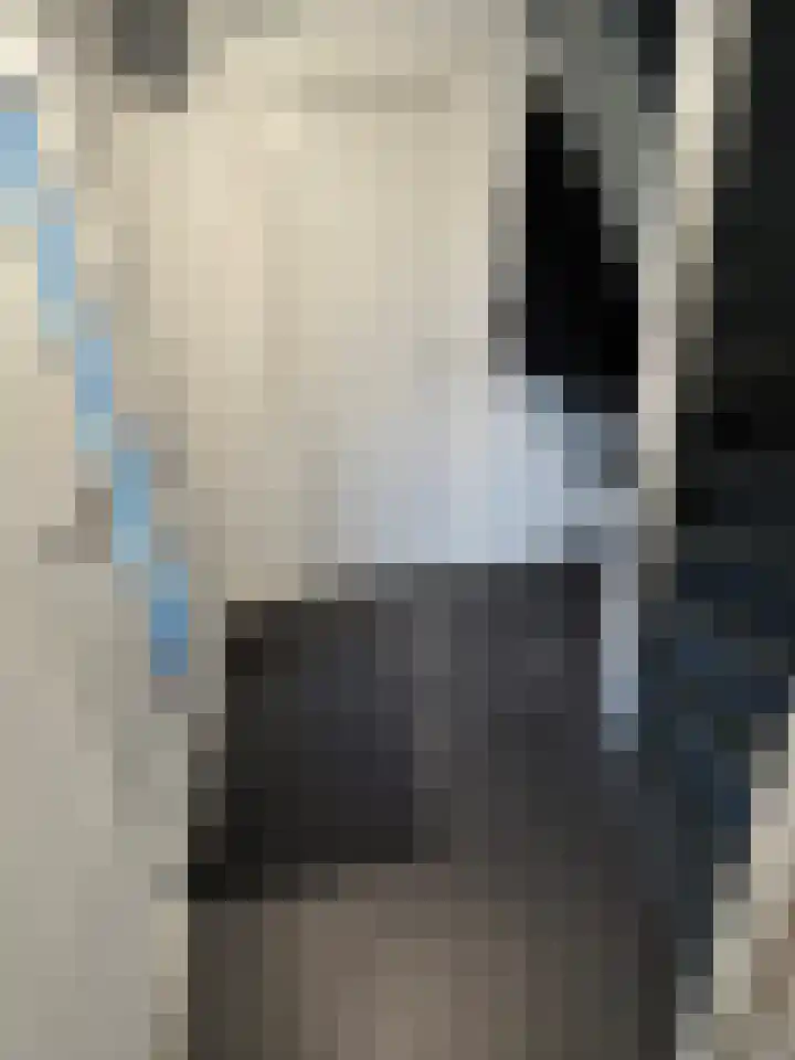 Beneluxlaan 90 Heerlen thumbnail 6