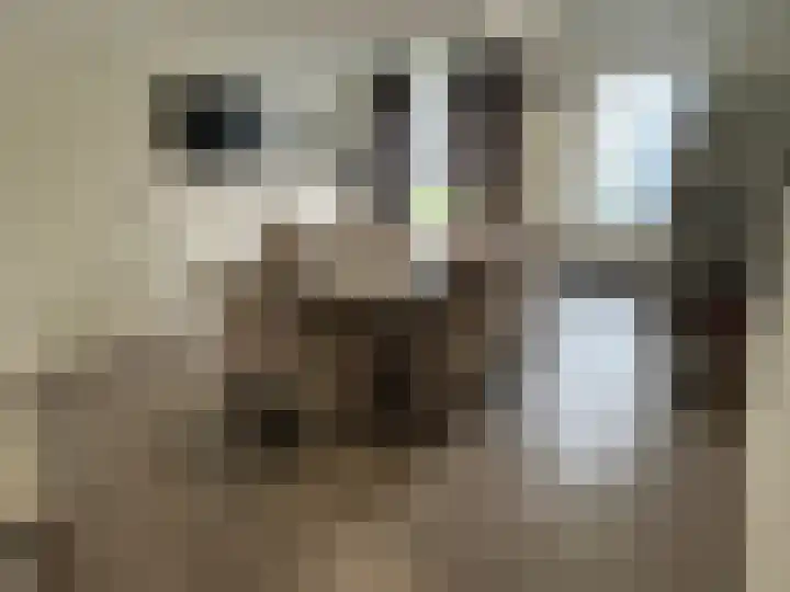 Beneluxlaan 90 Heerlen thumbnail 7
