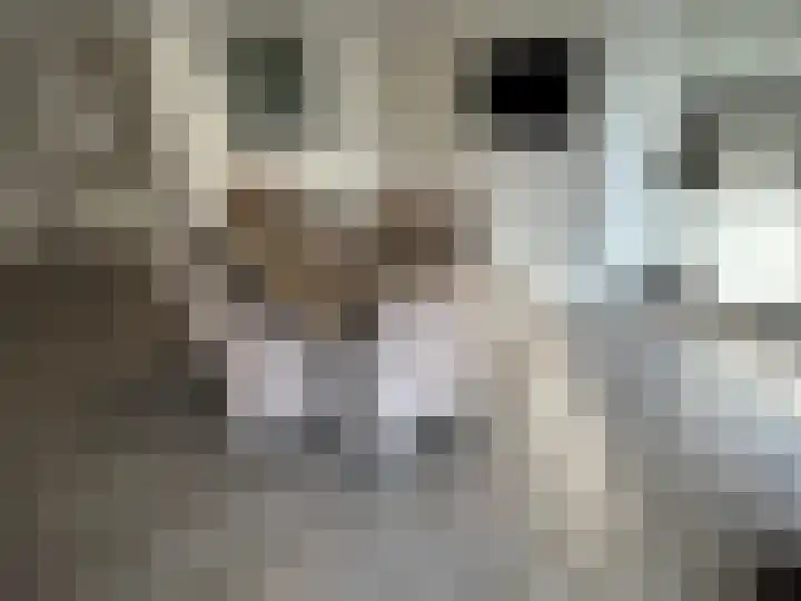 Beneluxlaan 90 Heerlen thumbnail 8
