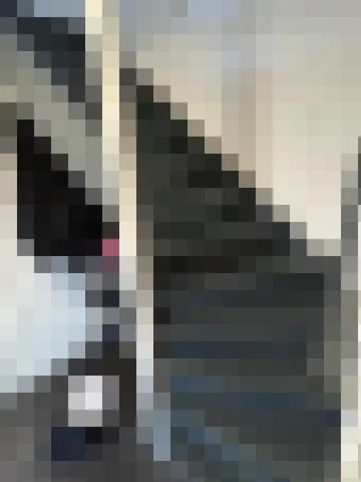 Beneluxlaan 90 Heerlen thumbnail 9