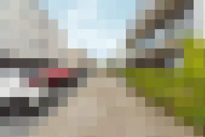 Beneluxlaan 919 Almere thumbnail 19