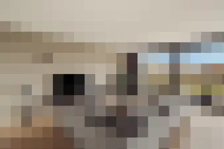 Beneluxlaan 961 Almere thumbnail 8