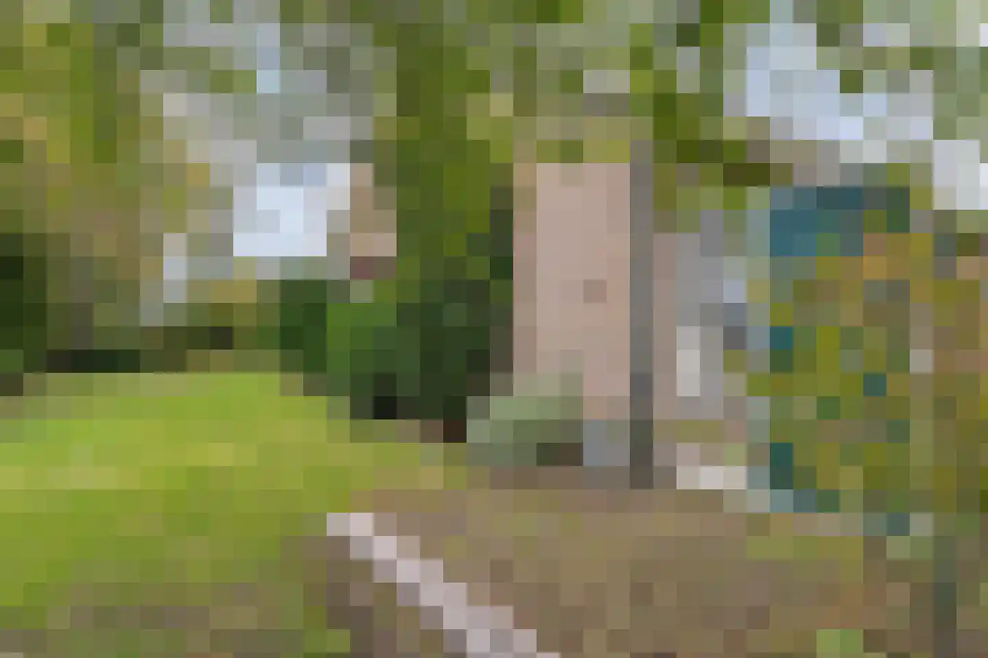 Beneluxplantsoen 1 Coevorden thumbnail 39