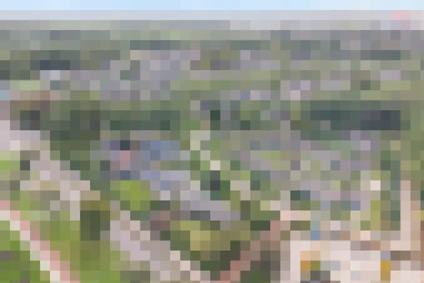 Beneluxplantsoen 1 Coevorden thumbnail 4