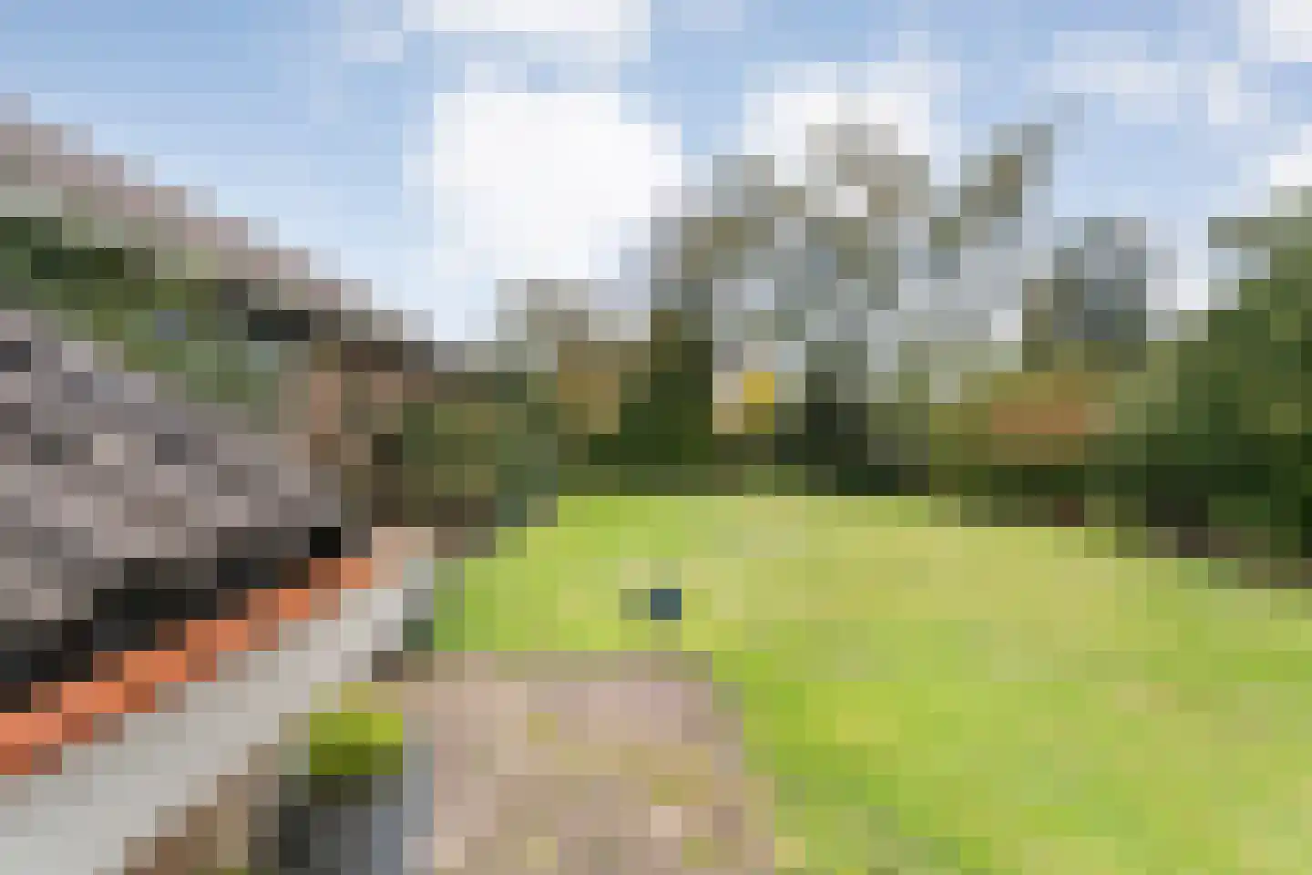 Beneluxplantsoen 1 Coevorden thumbnail 47