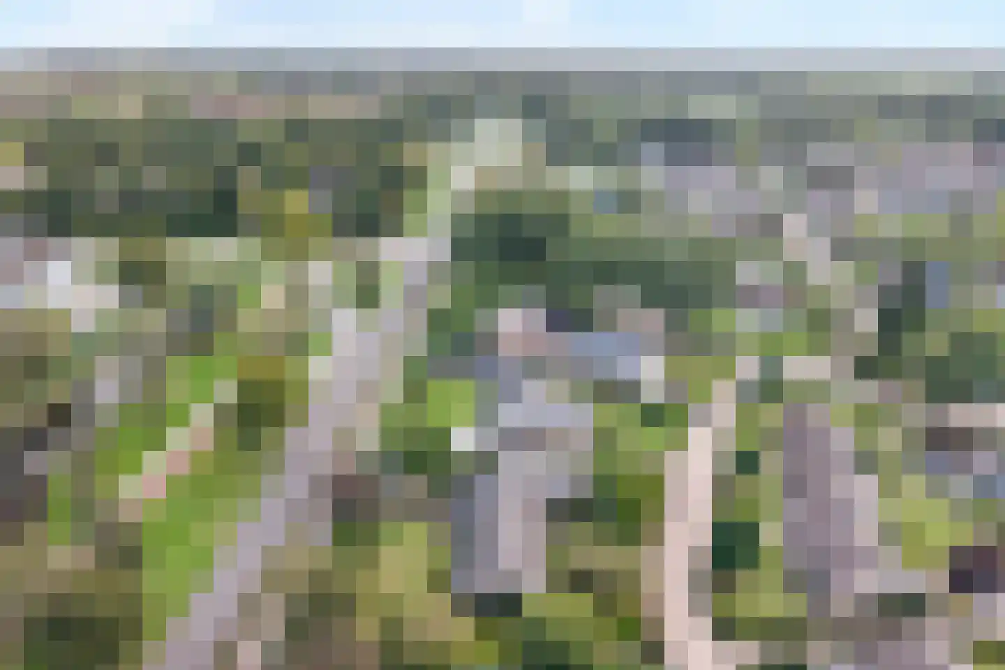 Beneluxplantsoen 1 Coevorden thumbnail 5