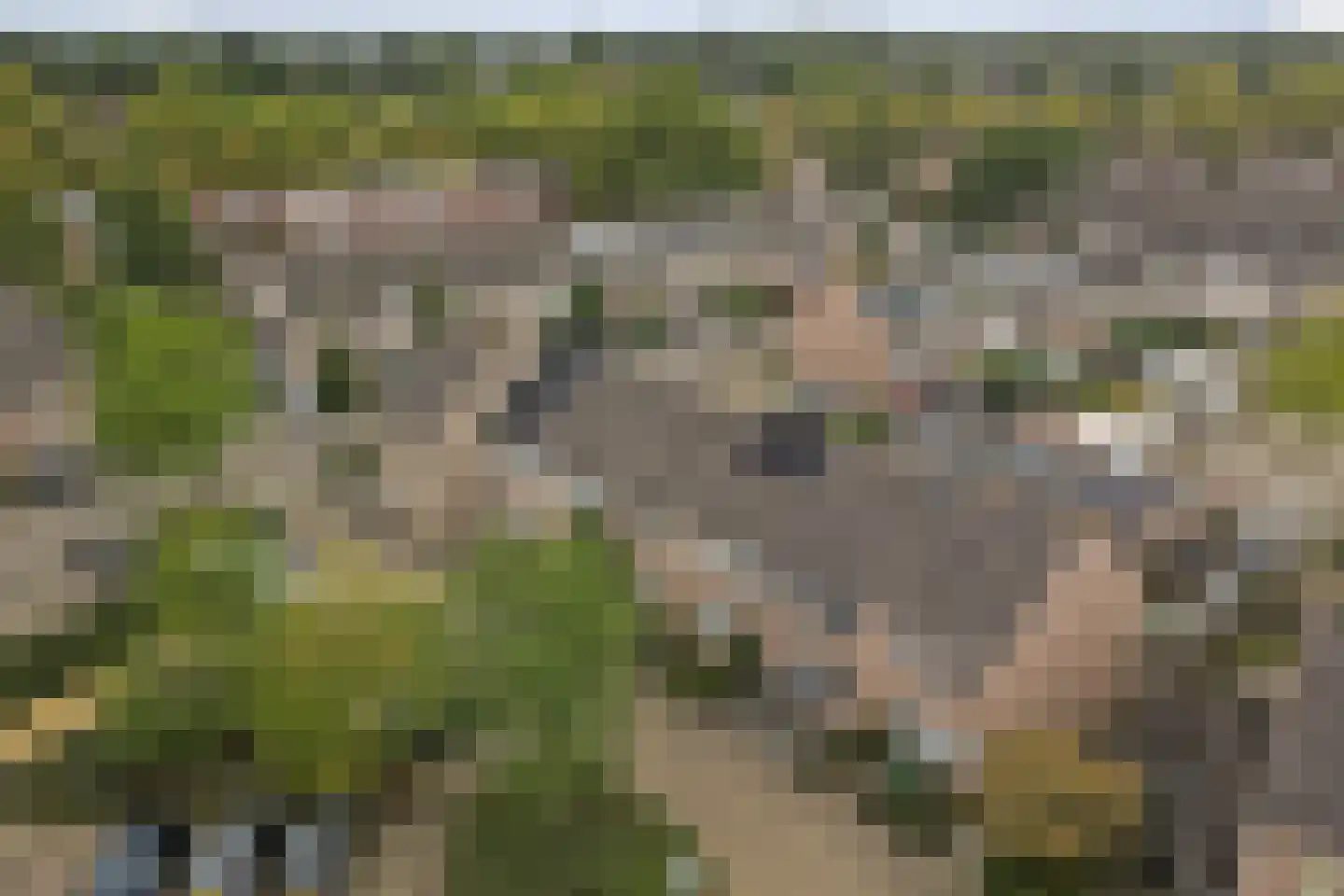 Beneluxplein 4 Drunen thumbnail 41