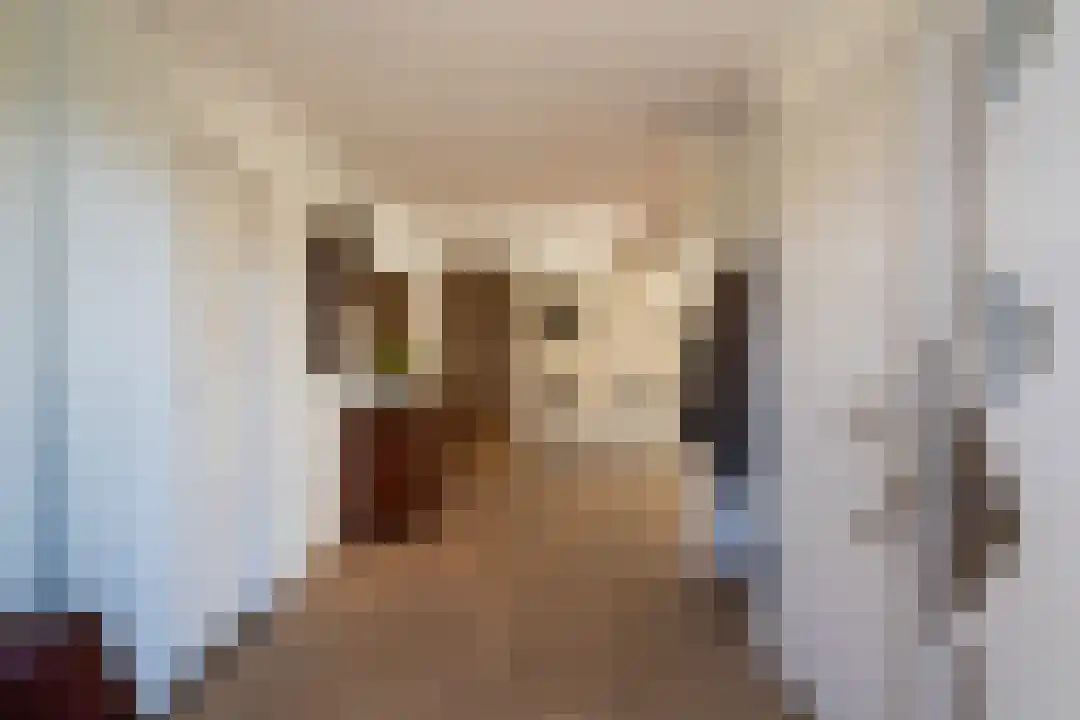 Beneluxstraat 1 Kelpen-Oler thumbnail 10