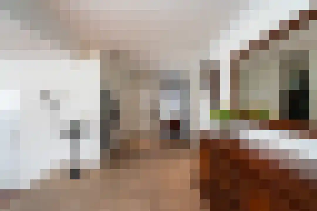 Beneluxstraat 1 Kelpen-Oler thumbnail 11