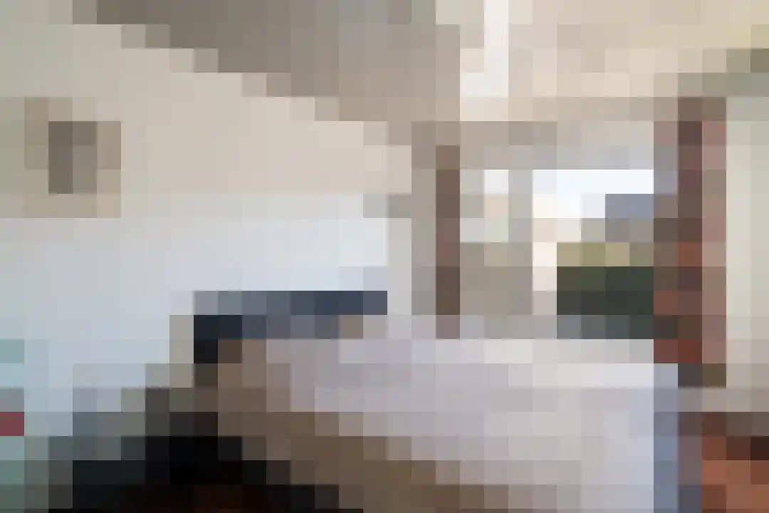 Beneluxstraat 1 Kelpen-Oler thumbnail 24