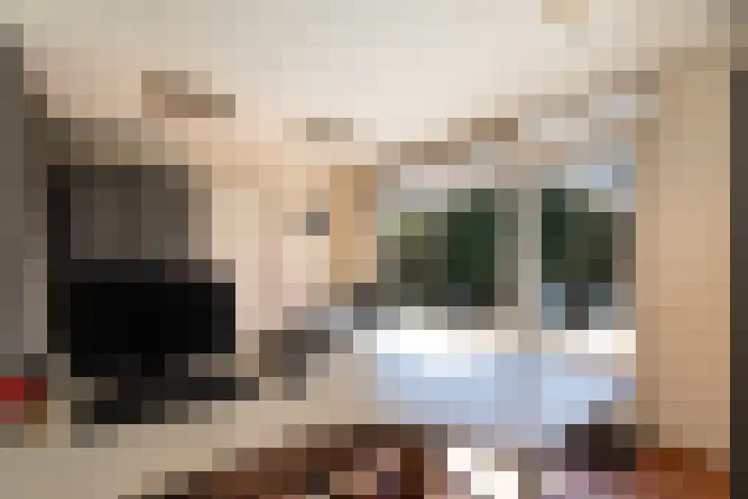 Beneluxstraat 1 Kelpen-Oler thumbnail 33
