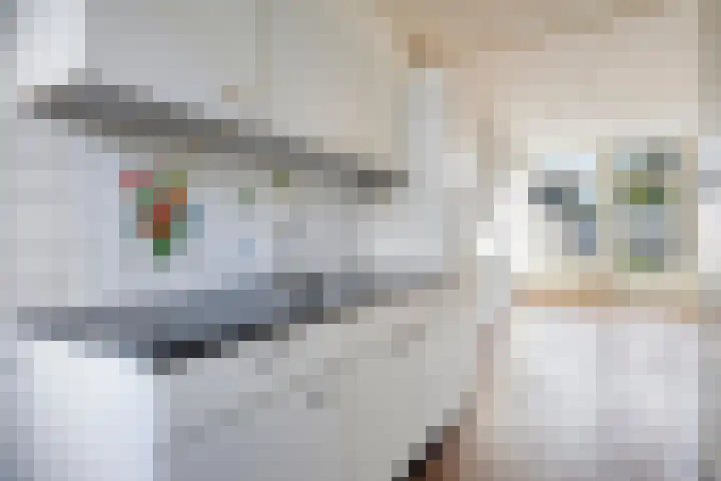 Beneluxstraat 5 Sas van Gent thumbnail 11