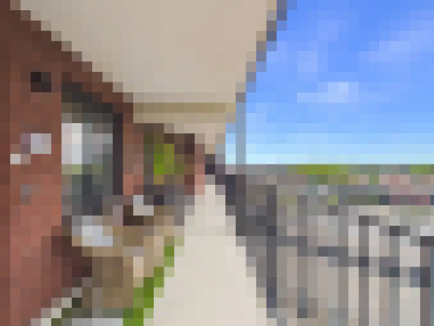 Beneluxweg 77 Terneuzen thumbnail 43