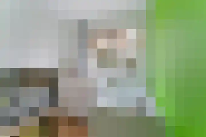 Benensonstraat 21 Middelburg thumbnail 22