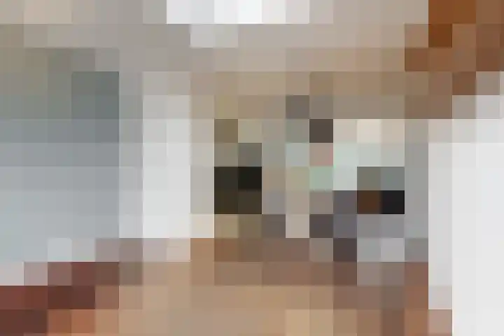 Benesserlaan 169 Uitgeest thumbnail 10