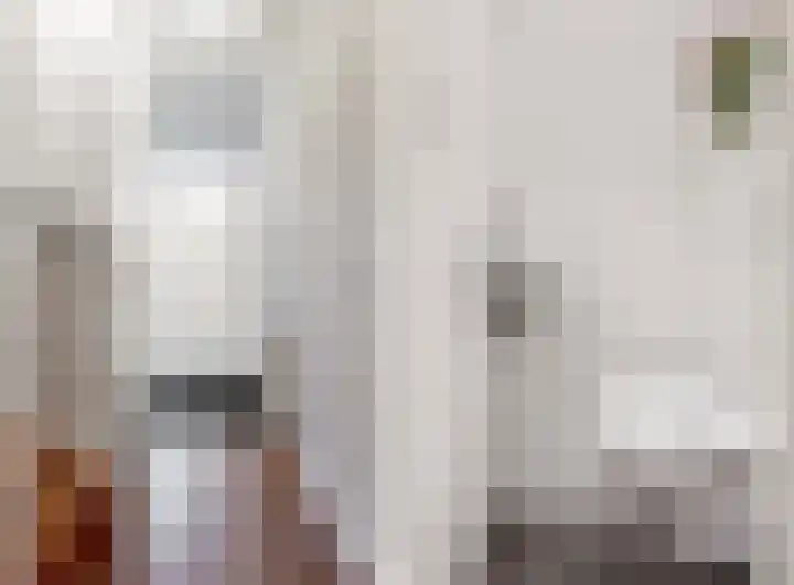 Benesserlaan 169 Uitgeest thumbnail 15