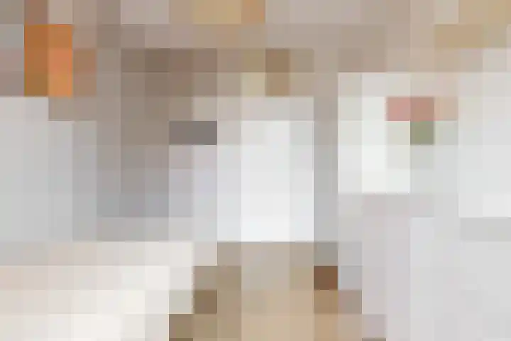 Benesserlaan 169 Uitgeest thumbnail 18