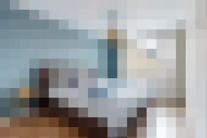 Benesserlaan 169 Uitgeest thumbnail 19