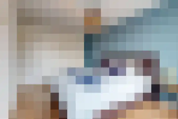 Benesserlaan 169 Uitgeest thumbnail 20