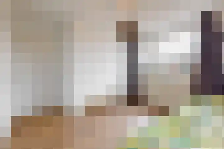 Benesserlaan 169 Uitgeest thumbnail 22