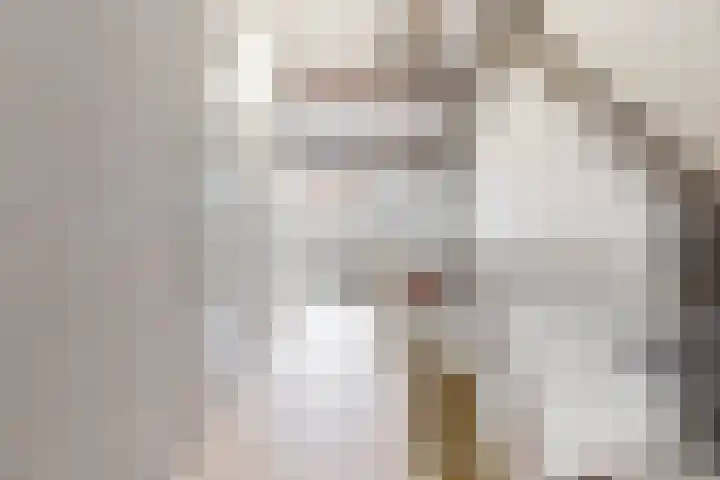 Benesserlaan 169 Uitgeest thumbnail 27